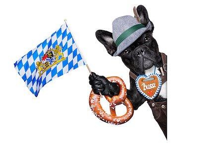 simsearch:400-08163219,k - bavarian german dog besides  a white blank banner or placard waving with bavarian flag Photographie de stock - Aubaine LD & Abonnement, Code: 400-07628694