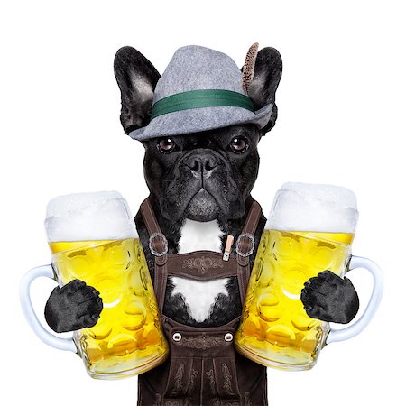 bavarian german dog  holding two big beer mugs Photographie de stock - Aubaine LD & Abonnement, Code: 400-07628697