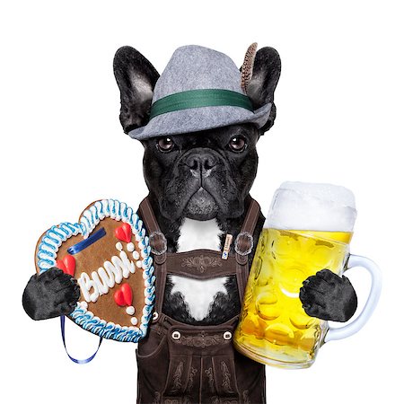 bavarian oktoberfest dog  with beer mug and gingerbread heart Stock Photo - Budget Royalty-Free & Subscription, Code: 400-07628698