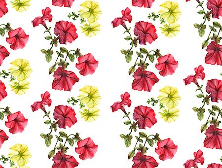 royal botanic gardens - Seamless watercolor petunia pattern. Pink and yellow flowers Foto de stock - Super Valor sin royalties y Suscripción, Código: 400-07628737