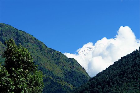 simsearch:400-07682483,k - View of Annapurna mountain, trek to base camp conservation area, Nepal Photographie de stock - Aubaine LD & Abonnement, Code: 400-07629174