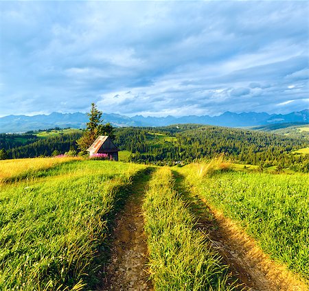 simsearch:400-05291390,k - Summer evening mountain village outskirts with country road in front and Tatra range behind (Gliczarow Gorny, Poland) Stock Photo - Budget Royalty-Free & Subscription, Code: 400-07620074