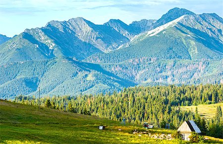 simsearch:400-05291390,k - Summer mountain village outskirts with barn and flock of sheep near (Tatra range behind, Poland) Stock Photo - Budget Royalty-Free & Subscription, Code: 400-07620076