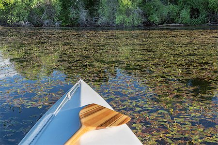 canoe bow with a wooden paddle on a calm lake with vegetation Stock Photo - Budget Royalty-Free & Subscription, Code: 400-07620286