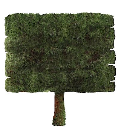 simsearch:400-07248972,k - Wooden sign covered in moss isolated on white. Wood sign Design element. Clipping path Stock Photo - Budget Royalty-Free & Subscription, Code: 400-07620487