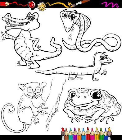 Coloring Book or Page Cartoon Illustration of Black and White Wild Animals Characters for Children Stock Photo - Budget Royalty-Free & Subscription, Code: 400-07621605