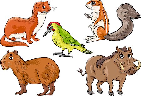 simsearch:400-08674472,k - Cartoon Illustration of Funny Wild Animals Characters Set Stock Photo - Budget Royalty-Free & Subscription, Code: 400-07621622