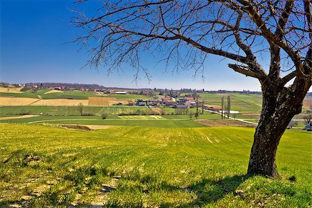 simsearch:400-07305550,k - Idyllic village in green valley, Cabraji in Prigorje region of Croatia Photographie de stock - Aubaine LD & Abonnement, Code: 400-07621771