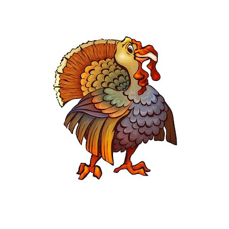 Vector illustration of turkey in cartoon style on transparent background Stock Photo - Budget Royalty-Free & Subscription, Code: 400-07621897