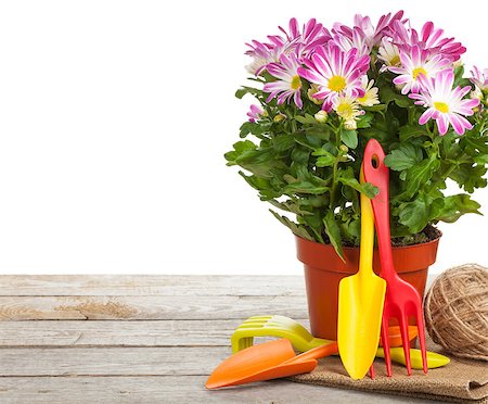 simsearch:400-08252596,k - Potted flower and garden tools. Isolated on white background Photographie de stock - Aubaine LD & Abonnement, Code: 400-07623814
