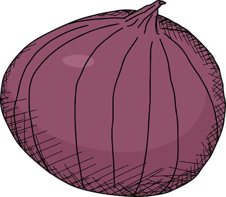 simsearch:400-08528929,k - Isolated whole red onion with skin on white background Foto de stock - Royalty-Free Super Valor e Assinatura, Número: 400-07634284