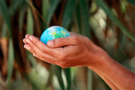 simsearch:400-04043891,k - Male hands with the small globe on a background of palm tree Photographie de stock - Aubaine LD & Abonnement, Code: 400-07634462