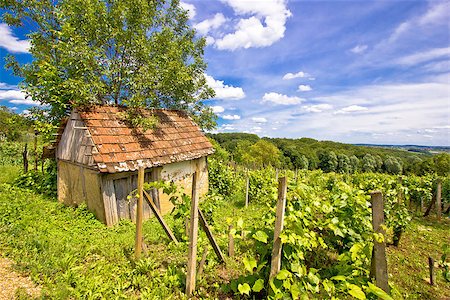 Mud cottage in hill vineyard, Prigorje region, Croatia Foto de stock - Super Valor sin royalties y Suscripción, Código: 400-07630682