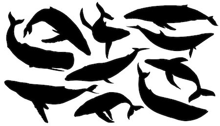 whale silhouettes on the white background Stock Photo - Budget Royalty-Free & Subscription, Code: 400-07631354