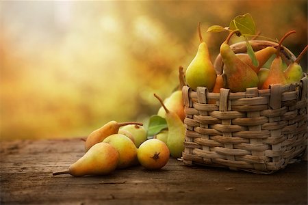 pear with leaves - Autumn nature concept. Fall pears on wood. Thanksgiving dinner Stock Photo - Budget Royalty-Free & Subscription, Code: 400-07631801
