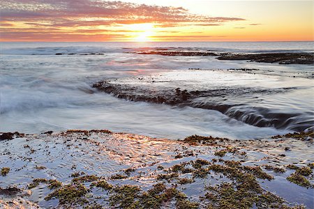 simsearch:400-07667033,k - Sunrise from the edge of Long Reef, Collaroy  NSW Australia Stock Photo - Budget Royalty-Free & Subscription, Code: 400-07631964