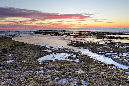 simsearch:400-07667033,k - Just before the sun pops up over the horizon at Long Reef, Collaroy Australia.  Low tide. Stock Photo - Budget Royalty-Free & Subscription, Code: 400-07631963