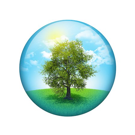 simsearch:400-07632086,k - Trees and green landscape. Spherical glossy button. Web element Stock Photo - Budget Royalty-Free & Subscription, Code: 400-07632077