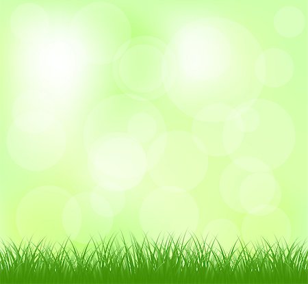 Natural light green grass background in abstract design Stock Photo - Budget Royalty-Free & Subscription, Code: 400-07632292