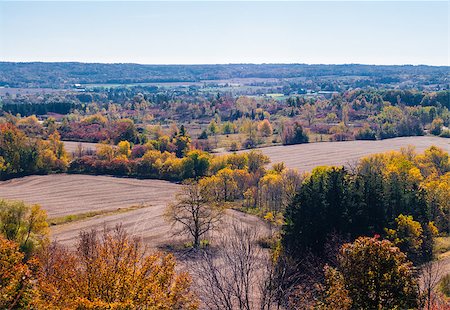 Autumn rural landscape with brown ploughed fields and forests turning colors. Fotografie stock - Microstock e Abbonamento, Codice: 400-07632903