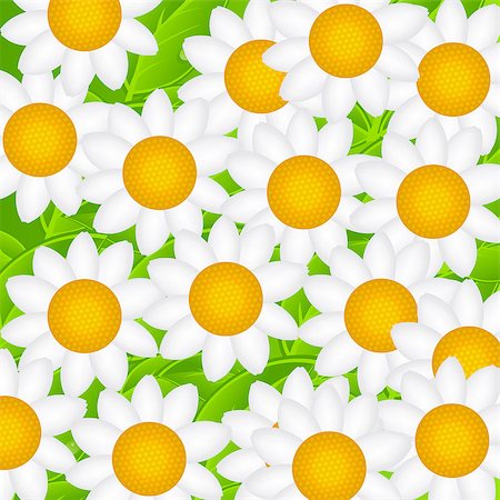 Beautiful Camomile Daisy Background Vector Illustration. EPS10 Foto de stock - Royalty-Free Super Valor e Assinatura, Número: 400-07633969