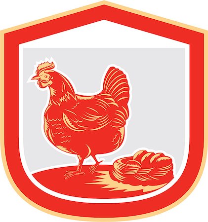 Illustration of a hen chicken side view with nest and eggs set inside shield crest done in retro woodcut style. Stock Photo - Budget Royalty-Free & Subscription, Code: 400-07656975