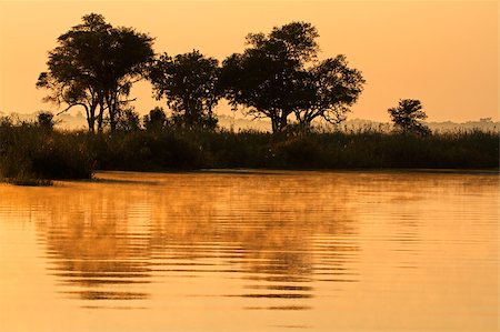 simsearch:400-04473063,k - African landscape with trees reflected in water at sunrise, Kwando river, Namibia Foto de stock - Super Valor sin royalties y Suscripción, Código: 400-07657119