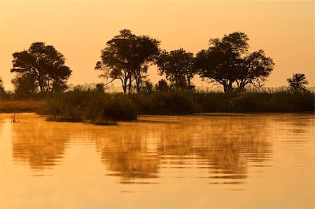 simsearch:400-04473063,k - African landscape with trees reflected in water at sunrise, Kwando river, Namibia Foto de stock - Super Valor sin royalties y Suscripción, Código: 400-07657120