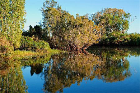 parque nacional de kakadu - Trees with reflections, Yellow water billabong, Kakadu National Park, Australia Foto de stock - Royalty-Free Super Valor e Assinatura, Número: 400-07657122