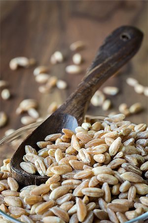 simsearch:400-08428404,k - Loose grains of farro in a bowl with a spoon. Stock Photo - Budget Royalty-Free & Subscription, Code: 400-07658099