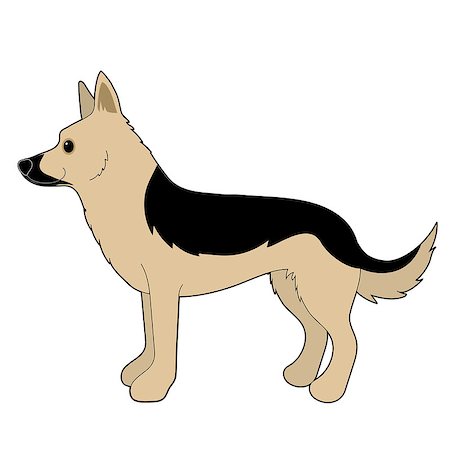 simsearch:400-07658326,k - A cartoon illustration of a German Shepherd Stock Photo - Budget Royalty-Free & Subscription, Code: 400-07658326