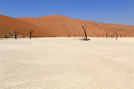 sesriem - Sossusvlei dead valley landscape in the Nanib desert near Sesriem, Namibia Foto de stock - Super Valor sin royalties y Suscripción, Código: 400-07666379