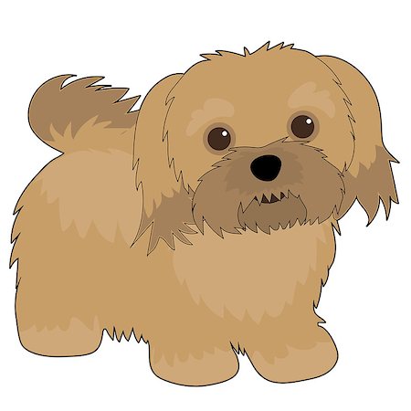 dog ear cartoon - A cartoon illustration of a Havanese dog Stock Photo - Budget Royalty-Free & Subscription, Code: 400-07666577