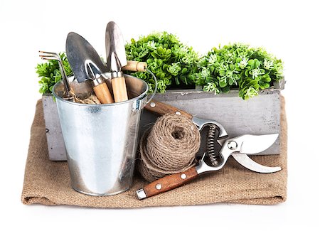 Garden tools in bucket with green plant. Isolated on white background Stock Photo - Budget Royalty-Free & Subscription, Code: 400-07667047
