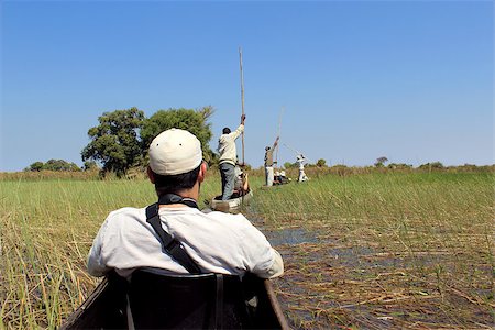 Ride in a traditional Okavango Delta mokoro canoe, through the reed covered water. North of Botswana. Foto de stock - Super Valor sin royalties y Suscripción, Código: 400-07667094