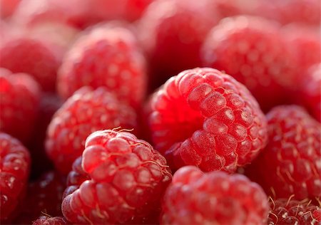 simsearch:400-07667203,k - Closeup Image of the Juicy Raspberries. Beautiful Summer Background Stock Photo - Budget Royalty-Free & Subscription, Code: 400-07667223