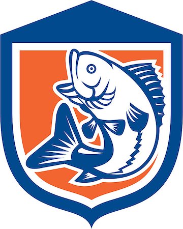 simsearch:400-08620286,k - Illustration of a largemouth bass fish jumping viewed from the side set inside a shield crest done in retro style. Foto de stock - Super Valor sin royalties y Suscripción, Código: 400-07667471