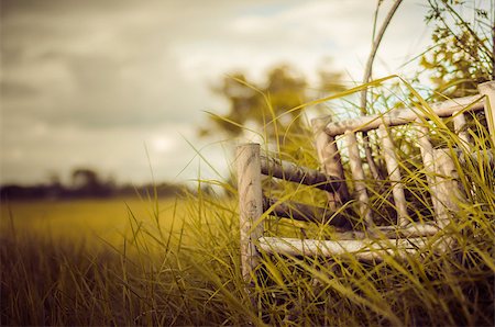 sweetcrisis (artist) - Bamboo wooden chairs on grass field in countryside Thailand vintage Photographie de stock - Aubaine LD & Abonnement, Code: 400-07667762