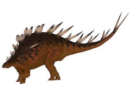 simsearch:400-07039388,k - The Kentrosaurus dinosaur from the Jurassic Period of North America has plates along its spine and spikes on its shoulders and tail. Stockbilder - Microstock & Abonnement, Bildnummer: 400-07668280