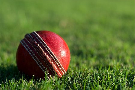 stockarch (artist) - Close up of a side lit red cricket ball on the green grass of a sports field, with copyspace Stock Photo - Budget Royalty-Free & Subscription, Code: 400-07668484