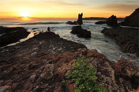 Cathedral Rock, Kiama Australia at sunrise.   These vocanic rocks have lured many tourists and photographers due to their distinctive shapes. Stock Photo - Budget Royalty-Free & Subscription, Code: 400-07668491