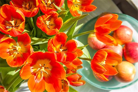 simsearch:400-06790189,k - Red tulips and apples in sunlight Stock Photo - Budget Royalty-Free & Subscription, Code: 400-07668760