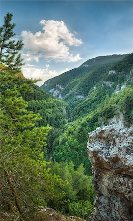 view from rock in Prosiecka valley, Slovakia Photographie de stock - Aubaine LD & Abonnement, Code: 400-07668928