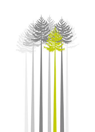 simsearch:400-08379558,k - Group of trees on a white background Fotografie stock - Microstock e Abbonamento, Codice: 400-07669321