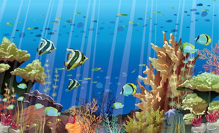 simsearch:400-09029281,k - Coral reef with sea creatures. Underwater nature vector. Stockbilder - Microstock & Abonnement, Bildnummer: 400-07669341