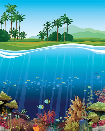 simsearch:400-09029281,k - Coral reef with underwater creatures and green island with palm on a blue sky. Stockbilder - Microstock & Abonnement, Bildnummer: 400-07669343