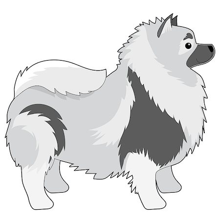 simsearch:400-07658326,k - A cartoon illustration of a Keeshond Stock Photo - Budget Royalty-Free & Subscription, Code: 400-07669622