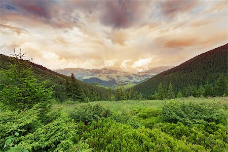 simsearch:400-07406491,k - Image of a beautiful carpathian mountains. Chornohora massif in eastern Carpathians. Photographie de stock - Aubaine LD & Abonnement, Code: 400-07669788
