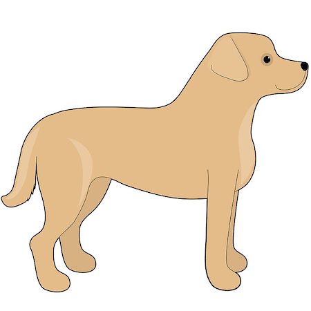 simsearch:400-07658326,k - A cartoon illustration of a Labrador Retriever Stock Photo - Budget Royalty-Free & Subscription, Code: 400-07669794