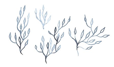 Indigo blue hand drawn branches, vector illustration Foto de stock - Super Valor sin royalties y Suscripción, Código: 400-07669947